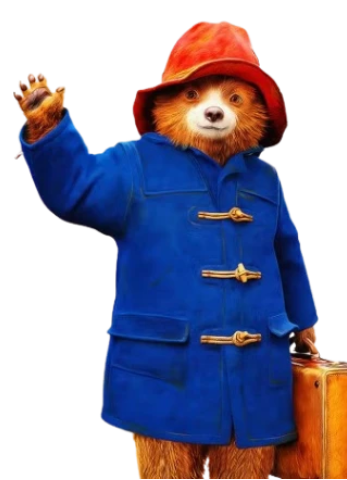 Paddington in Peru 2024 Blue Jacket